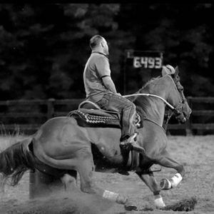 Meet your Posher, Lucas